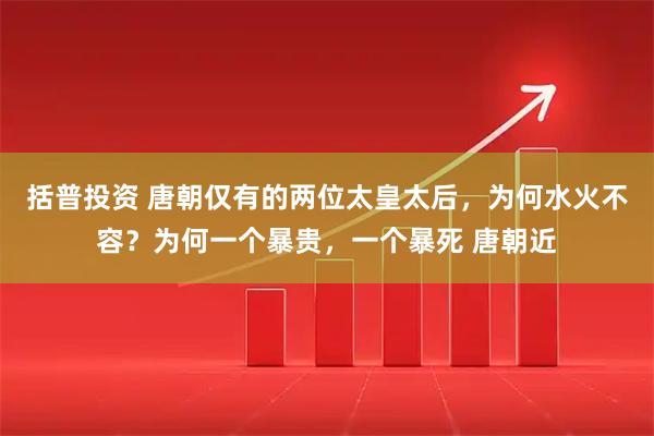 括普投资 唐朝仅有的两位太皇太后,为何水火不容?为何一个暴贵,一个暴死 唐朝近