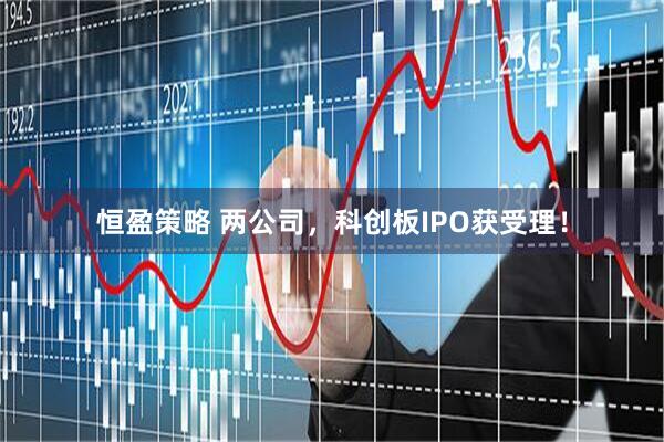 恒盈策略 两公司，科创板IPO获受理！