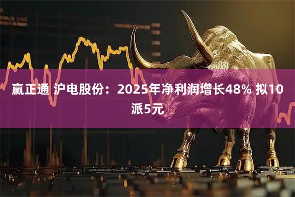 赢正通 沪电股份:2025年净利润增长48% 拟10派5元