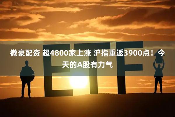 微豪配资 超4800家上涨 沪指重返3900点!今天的A股有力气