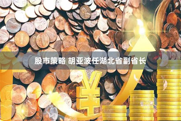 股市策略 胡亚波任湖北省副省长
