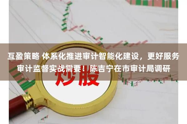 互盈策略 体系化推进审计智能化建设，更好服务审计监督实战需要！陈吉宁在市审计局调研