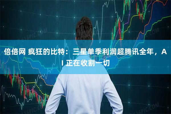 倍倍网 疯狂的比特：三星单季利润超腾讯全年，AI 正在收割一切