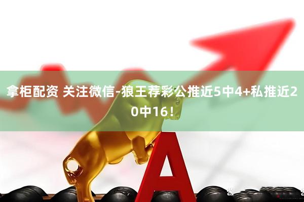 拿柜配资 关注微信-狼王荐彩公推近5中4+私推近20中16！