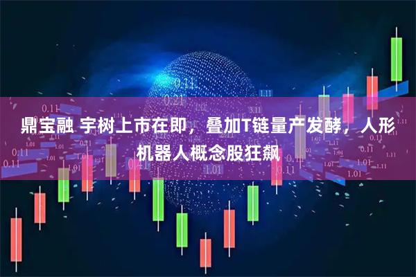 鼎宝融 宇树上市在即，叠加T链量产发酵，人形机器人概念股狂飙